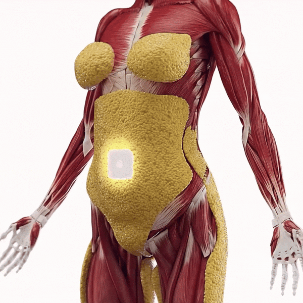 Activate Fat Breakdown